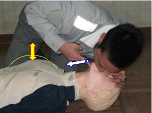 AED05